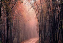 伯恩茅斯客场一球小胜，脱离降级区