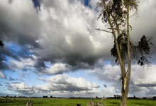 江苏苏宁客场战胜天津天海，连胜开启保级希望