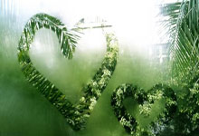 伯恩茅斯客场比战平谢菲联，保持不败纪录