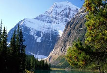 谢菲联主场大胜，排名节节攀升：球队复兴的传奇篇章