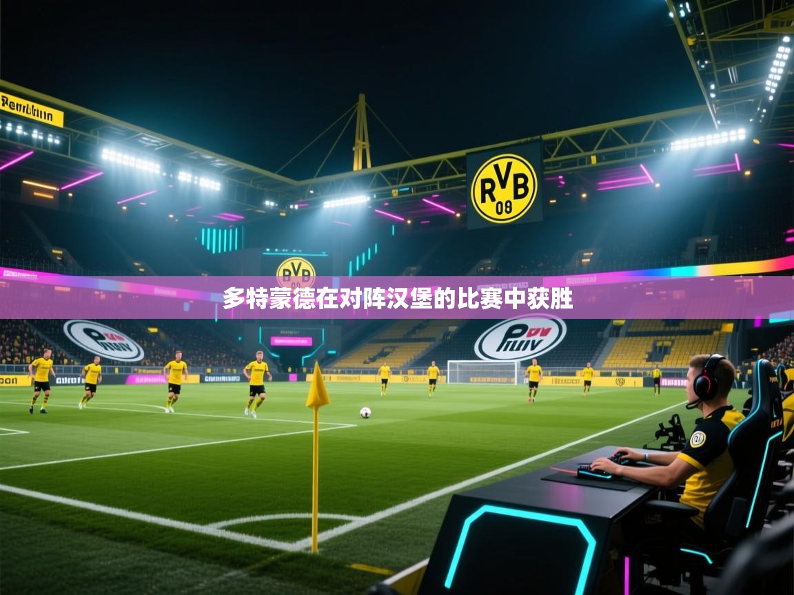 多特蒙德在对阵汉堡的比赛中获胜 第2张